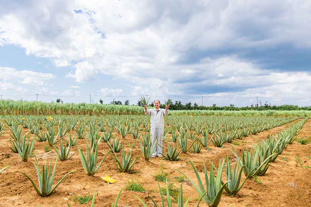 しろう農園 砂川社長