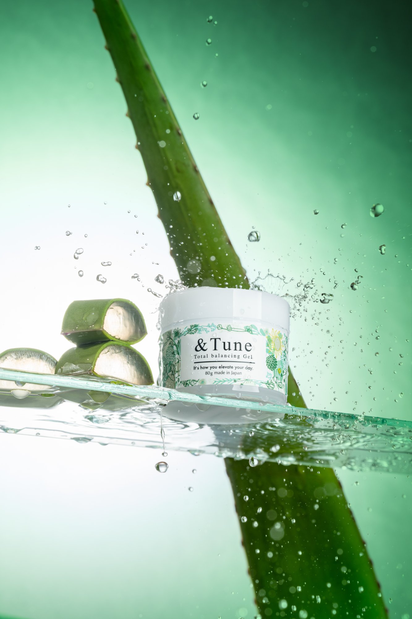 みずみずしいアロエベラ